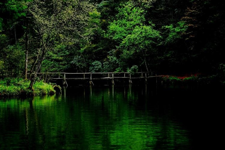 桃花島紅軍橋