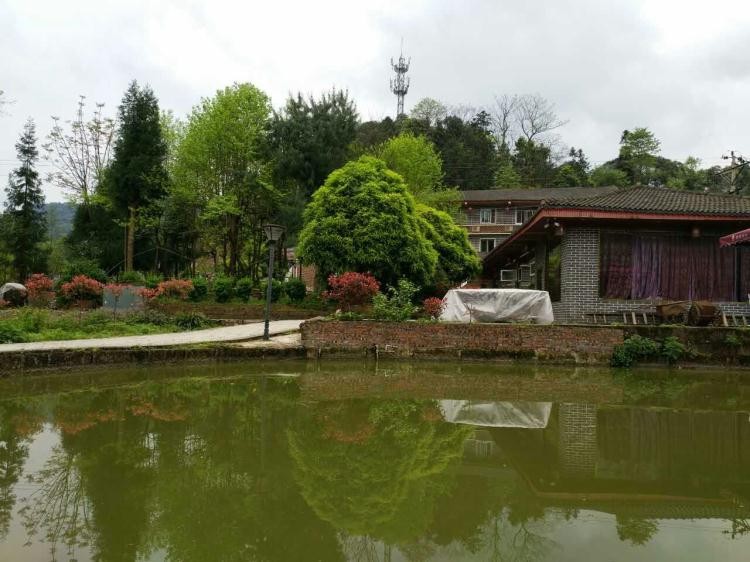 山泉水生態(tài)魚塘
